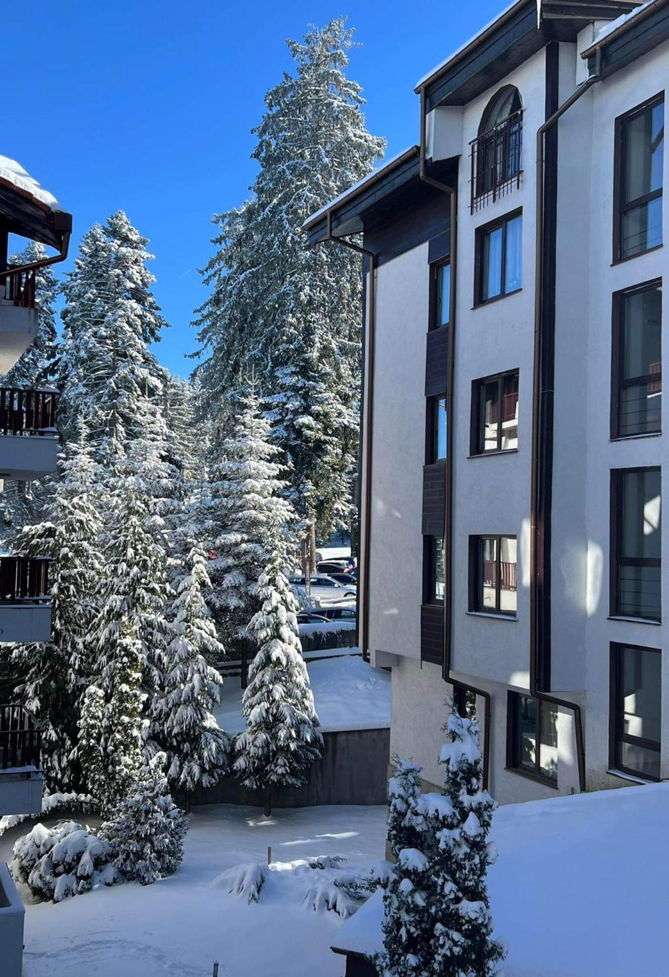 Arboro Flora Residence Studio Боровец Екстериор снимка